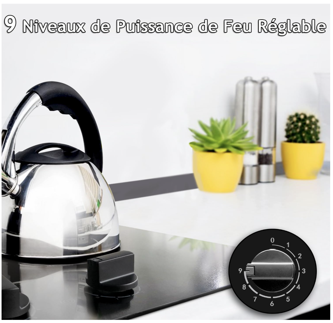 Plaque de cuisson pour personne âgée La meilleure